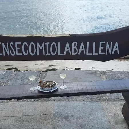 Residencial Vistamar